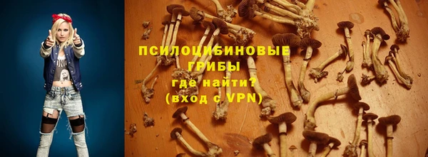 круглые Абаза